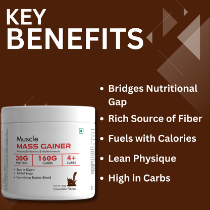 MS-Muscle Mass Gainer Chocolate Flavour - 250g